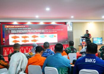 Kebakaran Hutan dan Lahan: Jenderal Dudung Abdurachman Cek Penanganan Karhutla di Sumsel