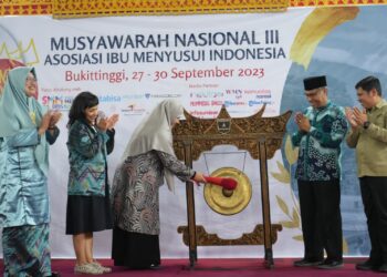 Muswayarah Nasional Ketiga AIMI, Peran Penting ASI Penangangan Stunting