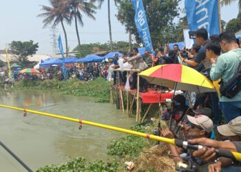Ribuan Pemancing Padati Situ Rawa Arum