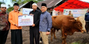 Pemprov Sumbar Salurkan 83 Hewan Qurban pada 15 Titik di Daerah Bencana