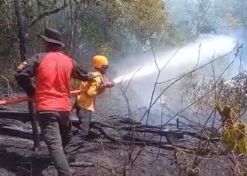 Operasi Modifikasi Cuaca BNPB dan BMKG Sukses Atasi Karhutla, Petani di Sumbar Mulai Rasakan Manfaat Hujan