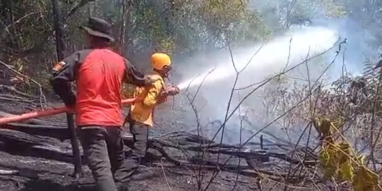 Operasi Modifikasi Cuaca BNPB dan BMKG Sukses Atasi Karhutla, Petani di Sumbar Mulai Rasakan Manfaat Hujan
