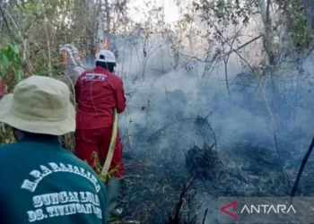 Satgas Darat Jadi Ujung Tombak Penanganan Karhutla di Enam Provinsi Prioritas