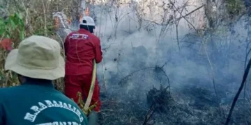 Satgas Darat Jadi Ujung Tombak Penanganan Karhutla di Enam Provinsi Prioritas