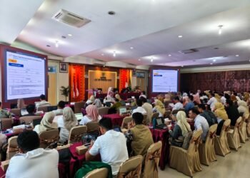 Kementerian PANRB Perkuat Kesiapan Pemda Sumbar Terapkan Pemerintah Digital